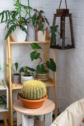 Similar image 21431097