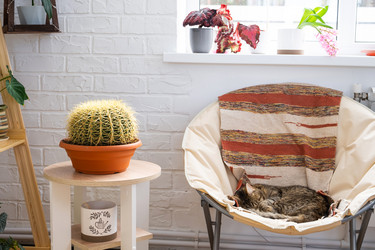 Similar image 21431099