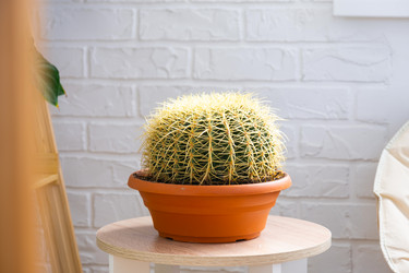 Similar image 21431101