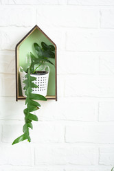 Similar image 21431103