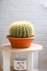 Similar image 21431105