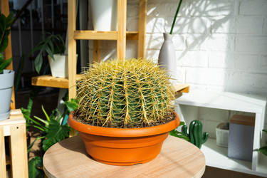 Similar image 21431112