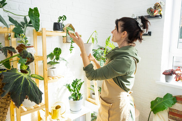 Similar image 21431115