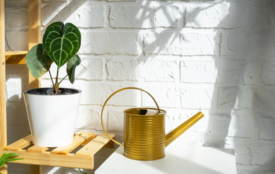 Similar image 21431118