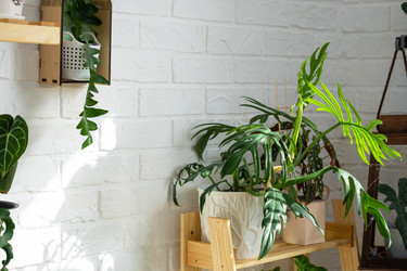 Similar image 21431121