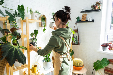 Similar image 21431122