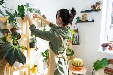 Similar image 21431123