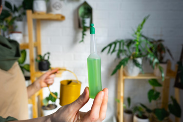 Similar image 21431131