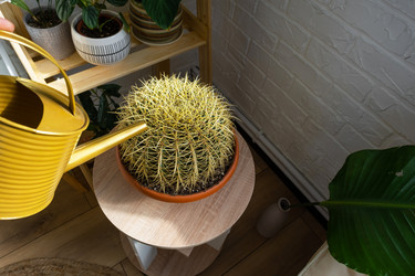 Similar image 21431132