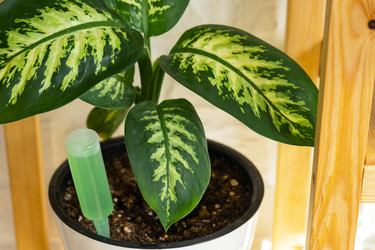 Similar image 21431138