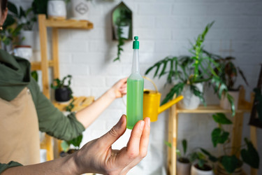 Similar image 21431859