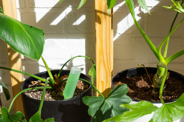 Similar image 21431862