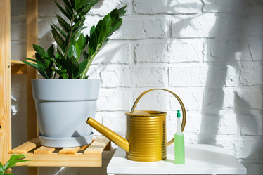 Similar image 21431863