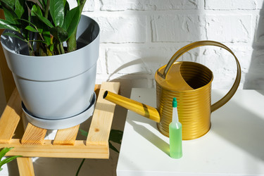 Similar image 21431864