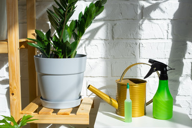 Similar image 21431865