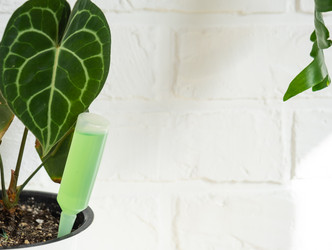 Similar image 21431867