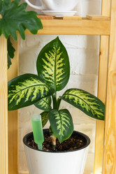 Similar image 21431868