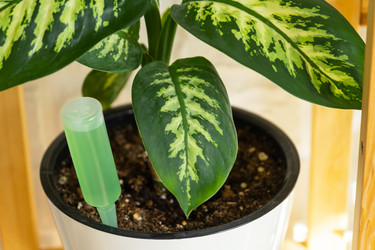 Similar image 21431869