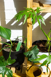 Similar image 21431870