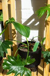 Similar image 21431871