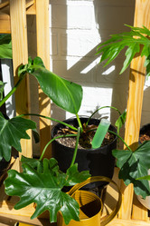 Similar image 21431873