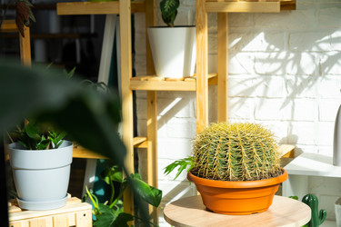 Similar image 21431143