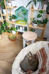 Similar image 21431144