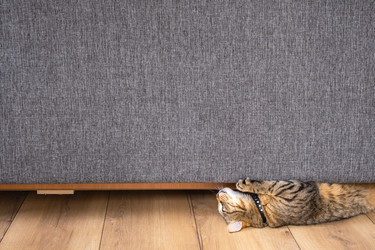 Similar image 21431145