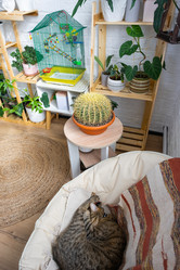 Similar image 21431146