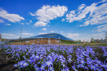 Similar image 21426307