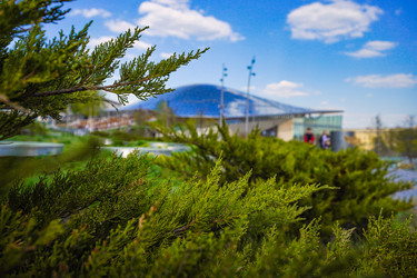 Similar image 21426308