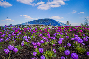 Similar image 21426309