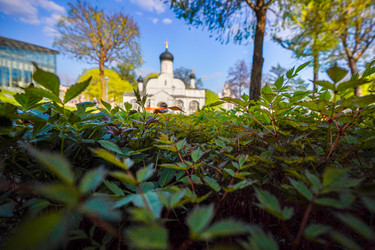 Similar image 21426311