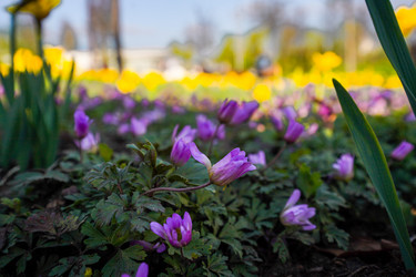 Similar image 21426312