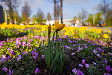 Similar image 21426313