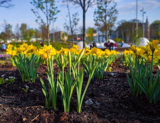 Similar image 21426314