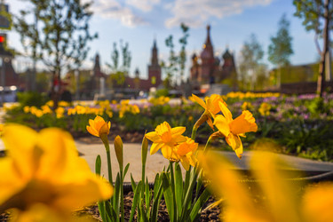 Similar image 21426315