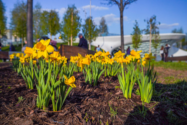 Similar image 21426317