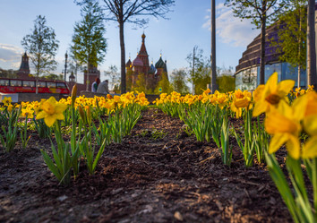 Similar image 21426319