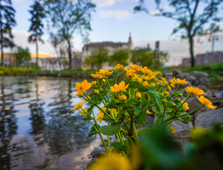 Similar image 21426320