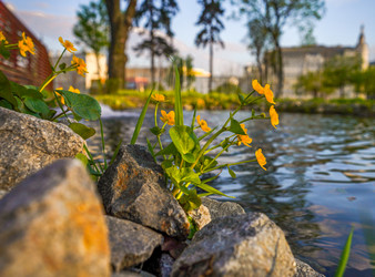 Similar image 21426321