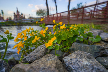 Similar image 21426322