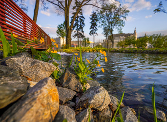 Similar image 21426323