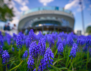 Similar image 21426324