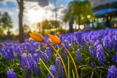 Similar image 21426325