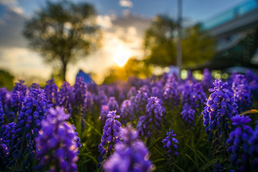 Similar image 21426326