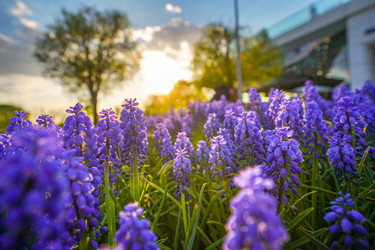 Similar image 21426328