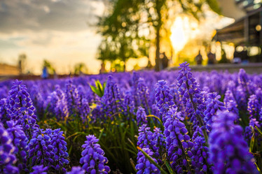 Similar image 21426329