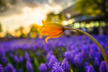 Similar image 21426330