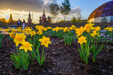 Similar image 21426331